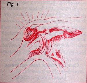 Figure 1 - Copyright – Stock Photo / Register Mark