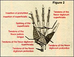 Figure 2 - Copyright – Stock Photo / Register Mark