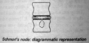 Figure1 - Copyright – Stock Photo / Register Mark