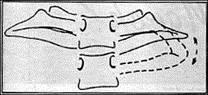 Figure 1 - Copyright – Stock Photo / Register Mark