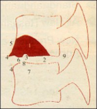 Figure 1 - Copyright – Stock Photo / Register Mark