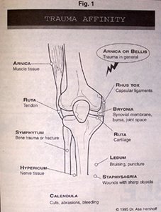 Knee Joint - Copyright – Stock Photo / Register Mark
