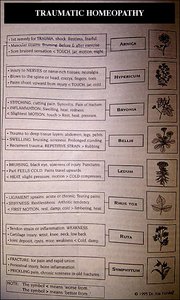 Herbs for Trauma - Copyright – Stock Photo / Register Mark