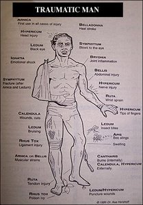 Herbs for Injuries - Copyright – Stock Photo / Register Mark