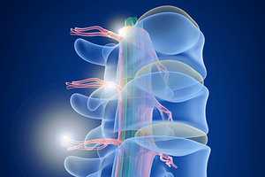 spine care - Copyright – Stock Photo / Register Mark