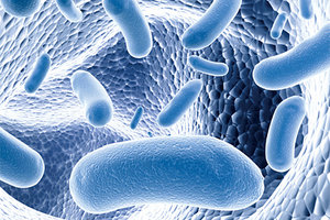 bacteria - Copyright – Stock Photo / Register Mark