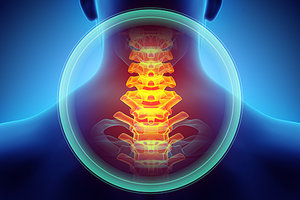 cervical spine - Copyright – Stock Photo / Register Mark