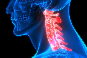 cervical spine - Copyright – Stock Photo / Register Mark