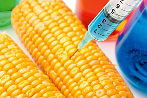 Genetic Modification - Copyright – Stock Photo / Register Mark