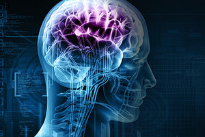 injured brain - Copyright – Stock Photo / Register Mark