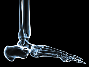 foot joint - Copyright – Stock Photo / Register Mark