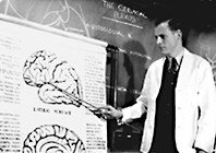 image - Copyright – Stock Photo / Register Mark