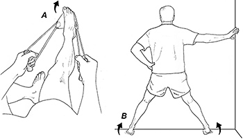 Peroneus longus home exercises - Copyright – Stock Photo / Register Mark