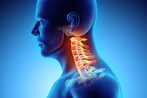 neck - Copyright – Stock Photo / Register Mark