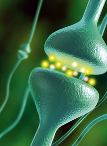 Neurotransmitters - Copyright – Stock Photo / Register Mark