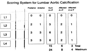 ACC-24 scoring system - Copyright – Stock Photo / Register Mark