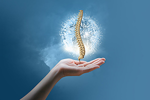 spine care - Copyright – Stock Photo / Register Mark