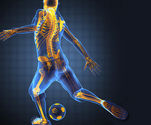 sports science - Copyright – Stock Photo / Register Mark